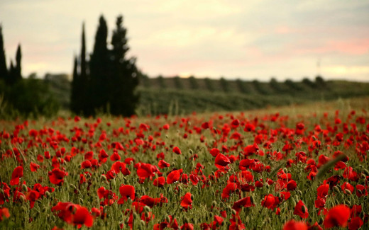 1575999 (a): :2560x1600